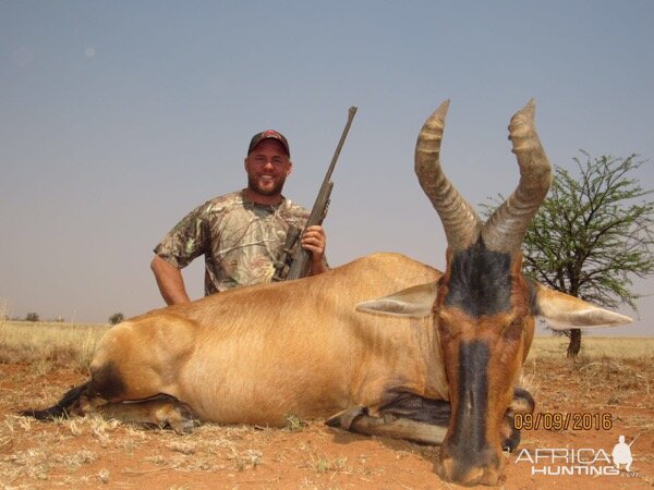 Hunting Red Hartebeest in South Africa