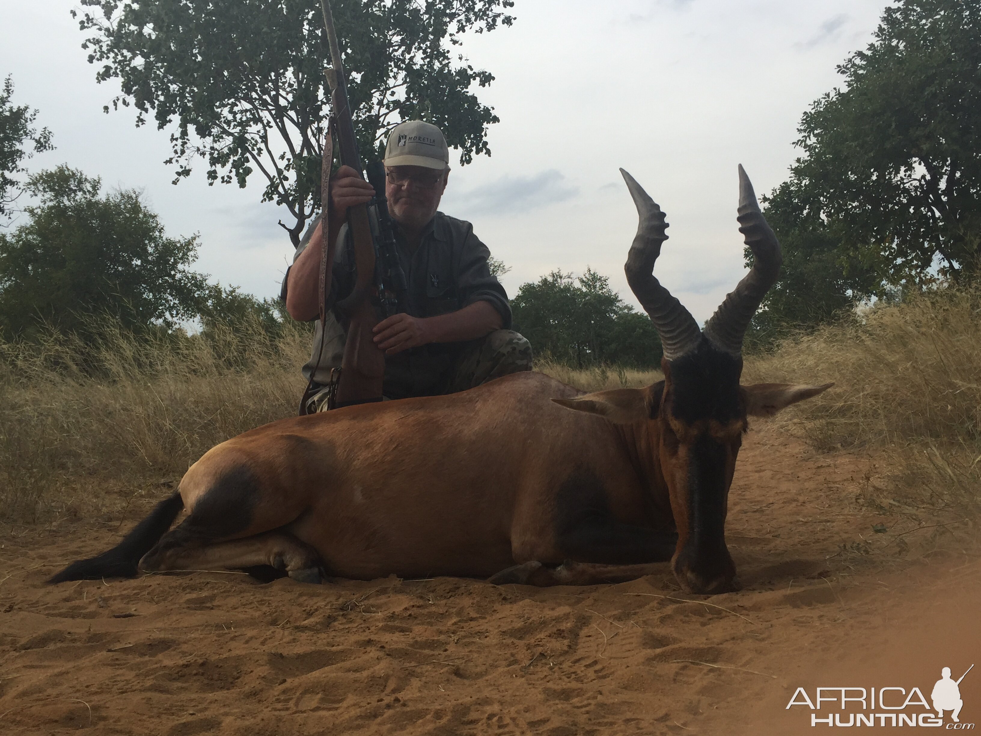 Hunting Red Hartebeest in South Africa