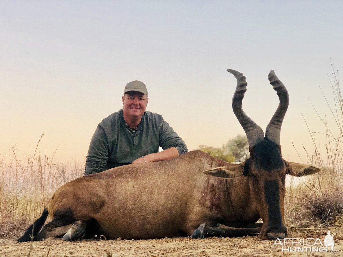 Hunting Red Hartebeest in South Africa