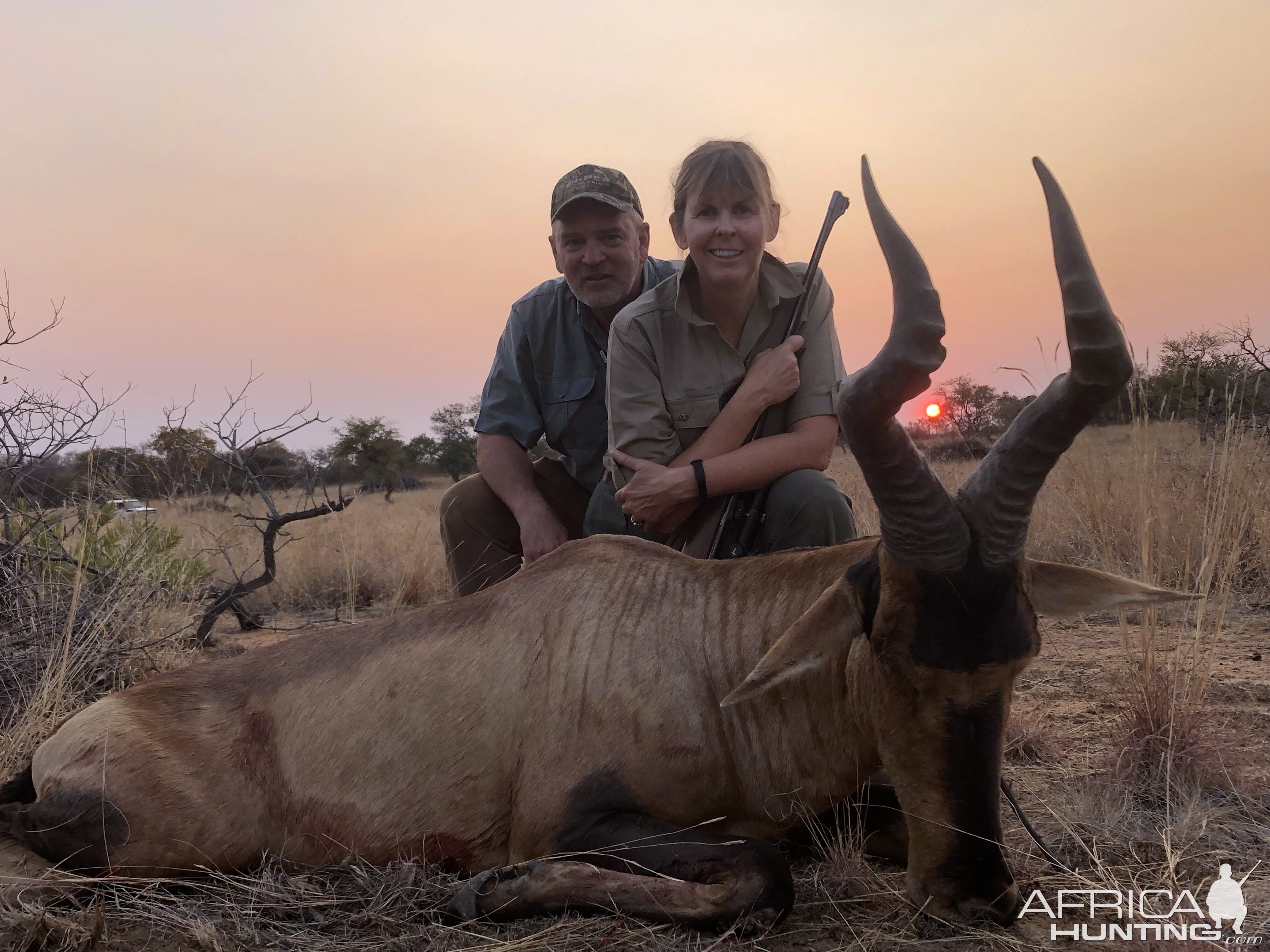 Hunting Red Hartebeest in South Africa