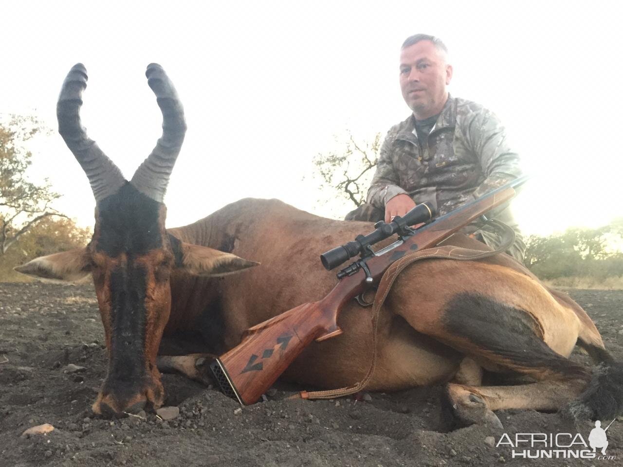 Hunting Red Hartebeest in South Africa