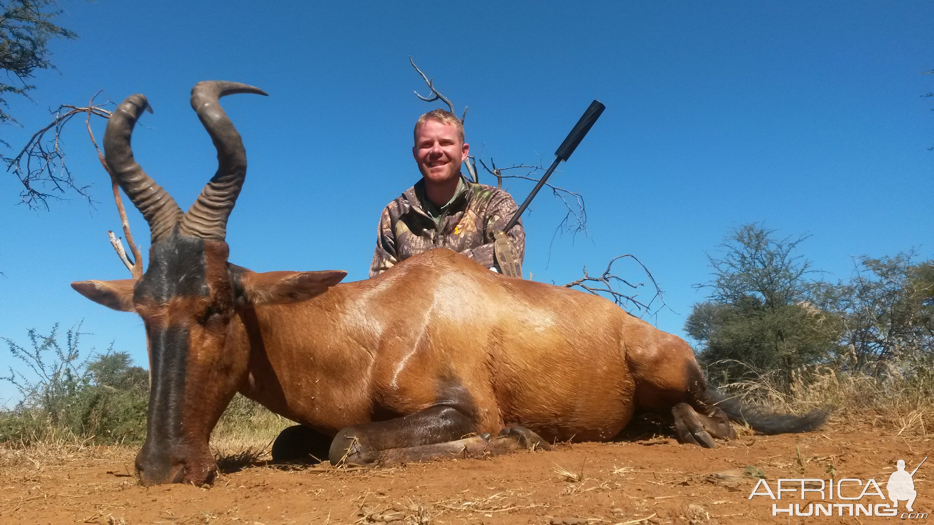 Hunting Red Hartebeest in South Africa