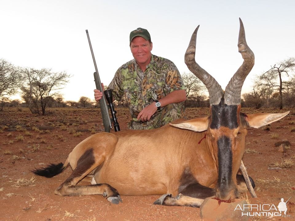 Hunting Red Hartebeest Namibia