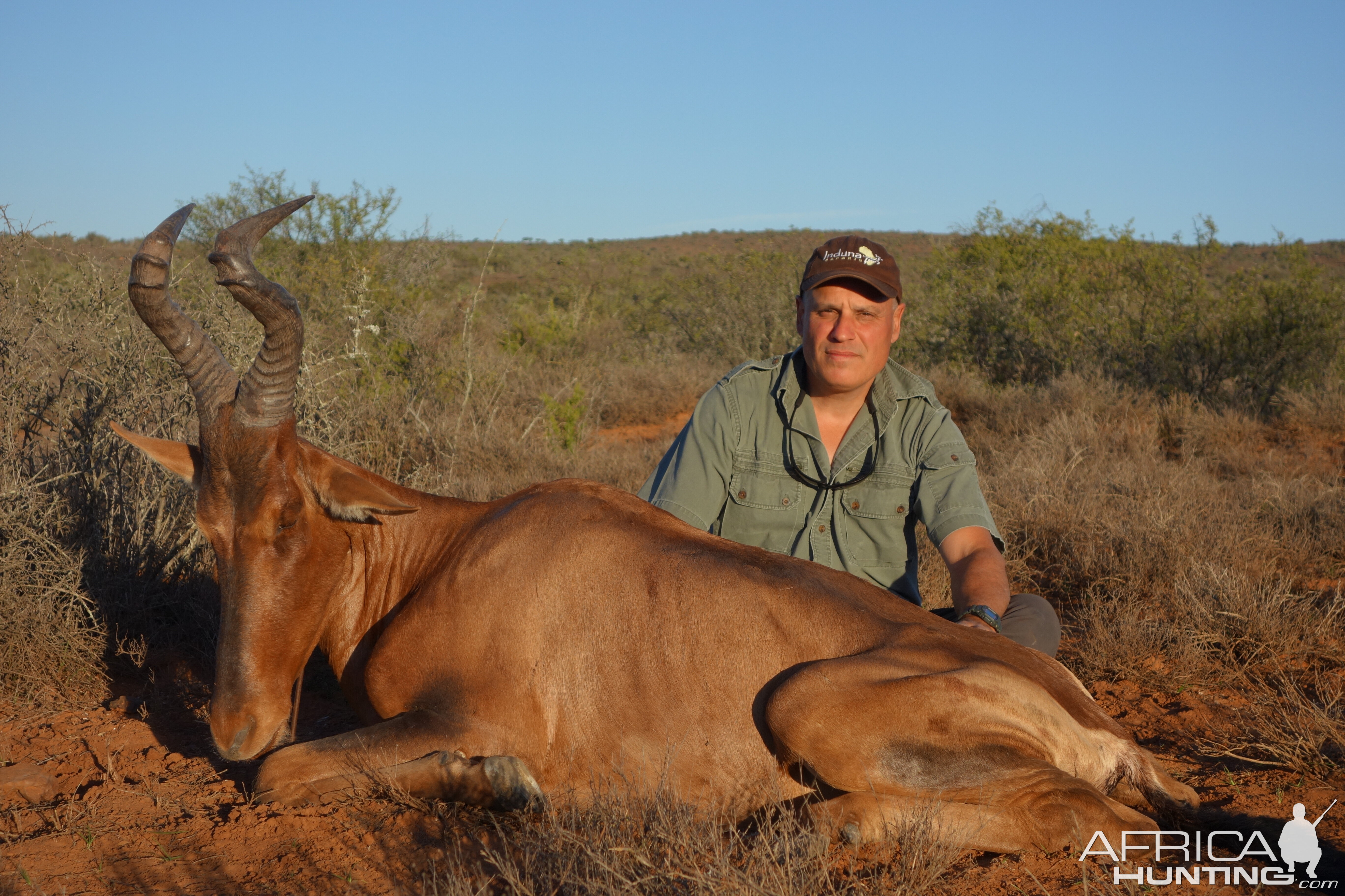 Hunting Red Hartebeest South Africa