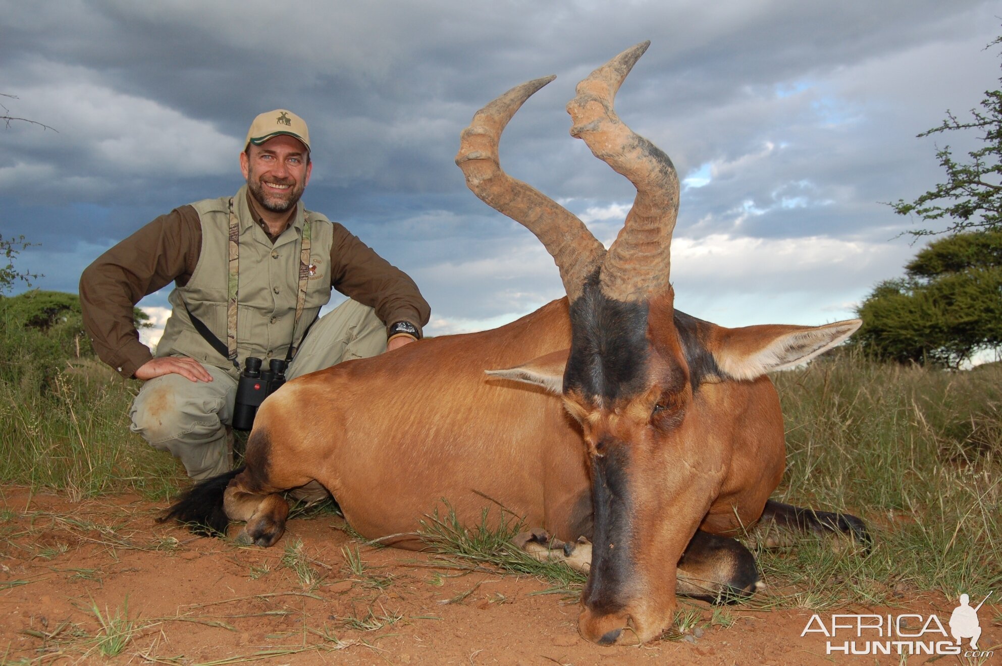 Hunting Red Hartebeest with Wintershoek Johnny Vivier Safaris in SA