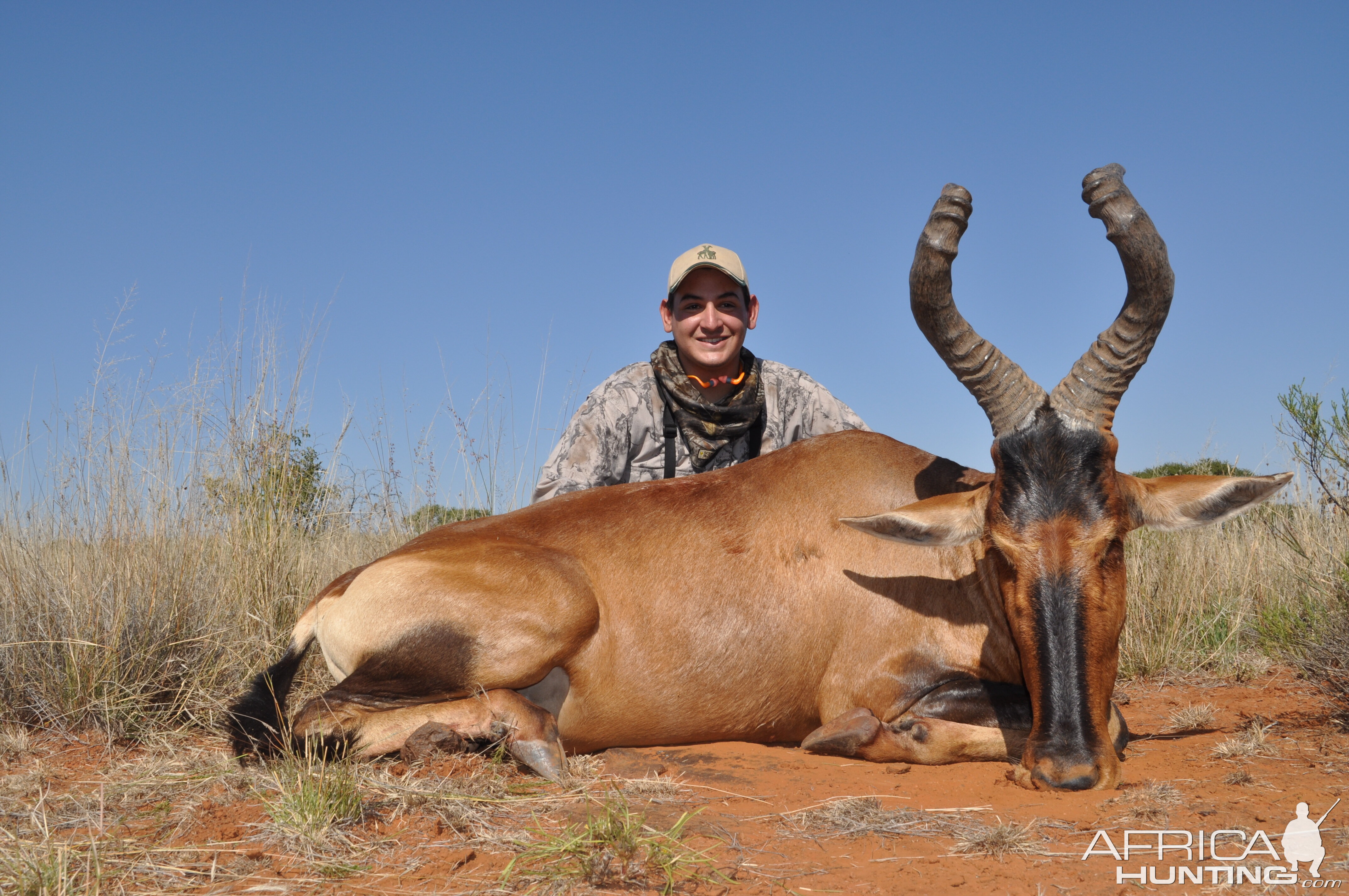 Hunting Red Hartebeest with Wintershoek Johnny Vivier Safaris in SA