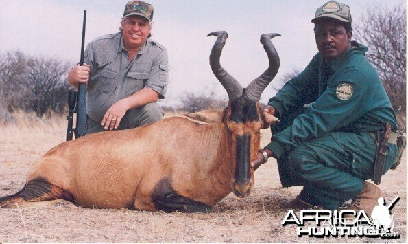 Hunting Red Hartebeest with Wintershoek Johnny Vivier Safaris in SA