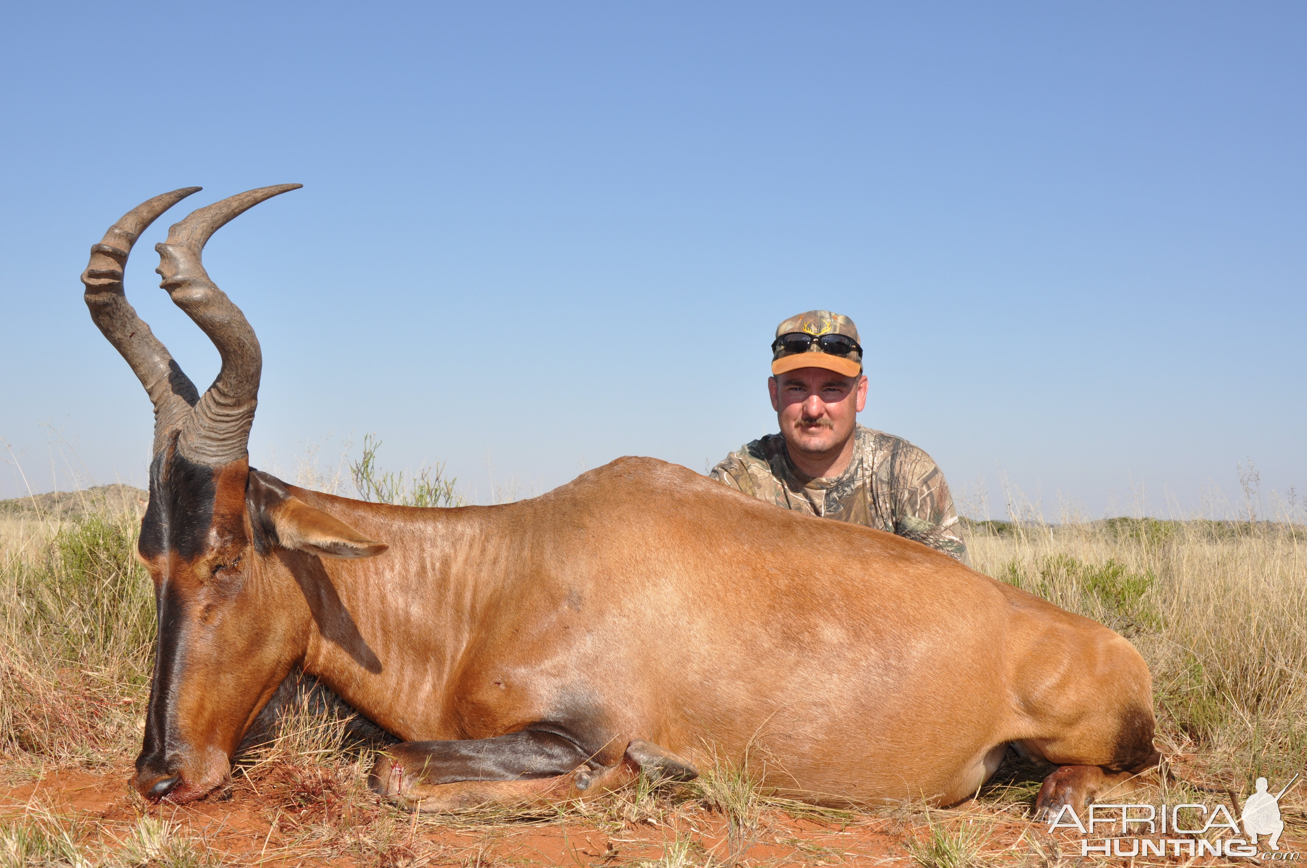 Hunting Red Hartebeest with Wintershoek Johnny Vivier Safaris in SA