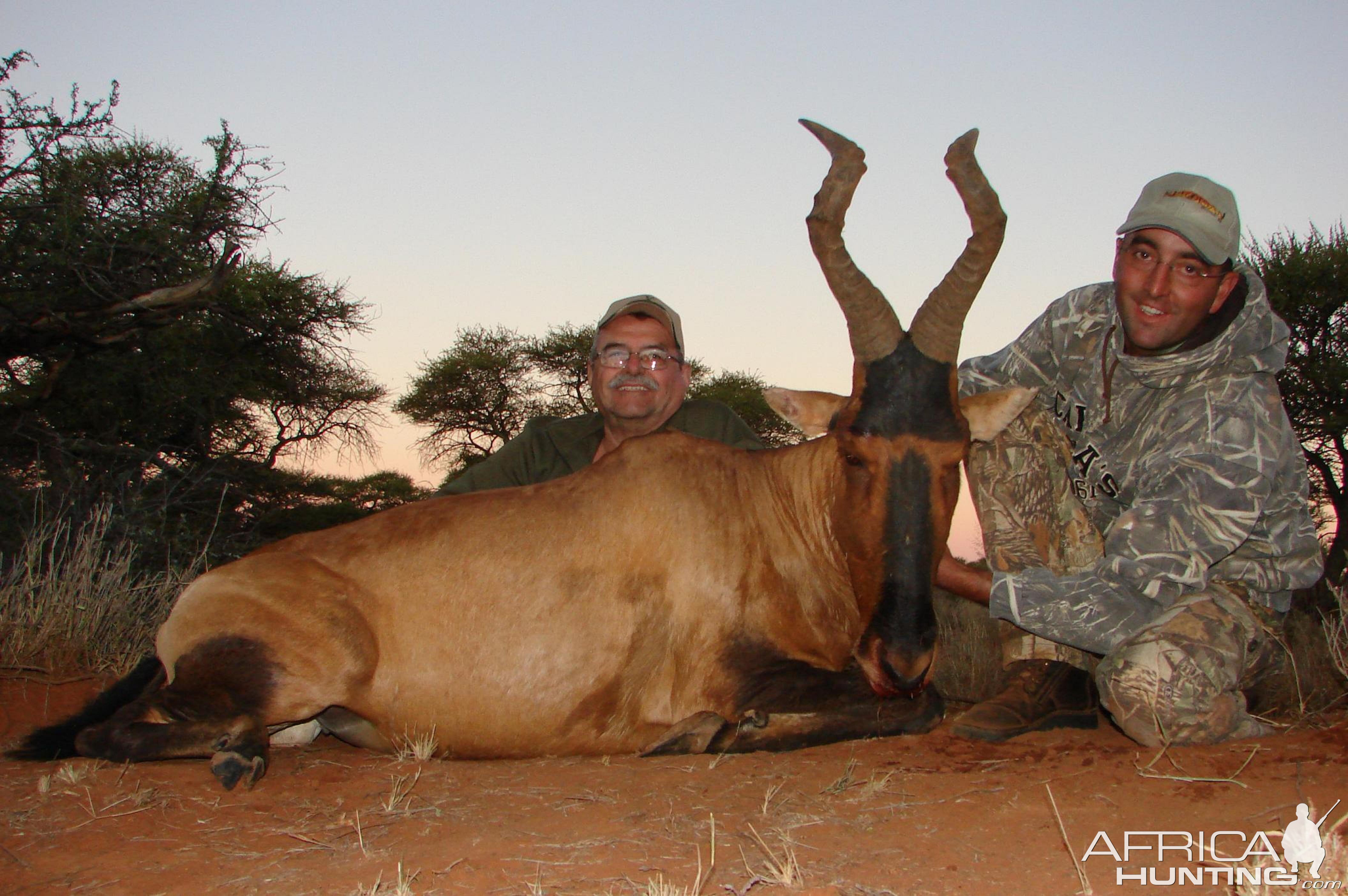 Hunting Red Hartebeest with Wintershoek Johnny Vivier Safaris in SA