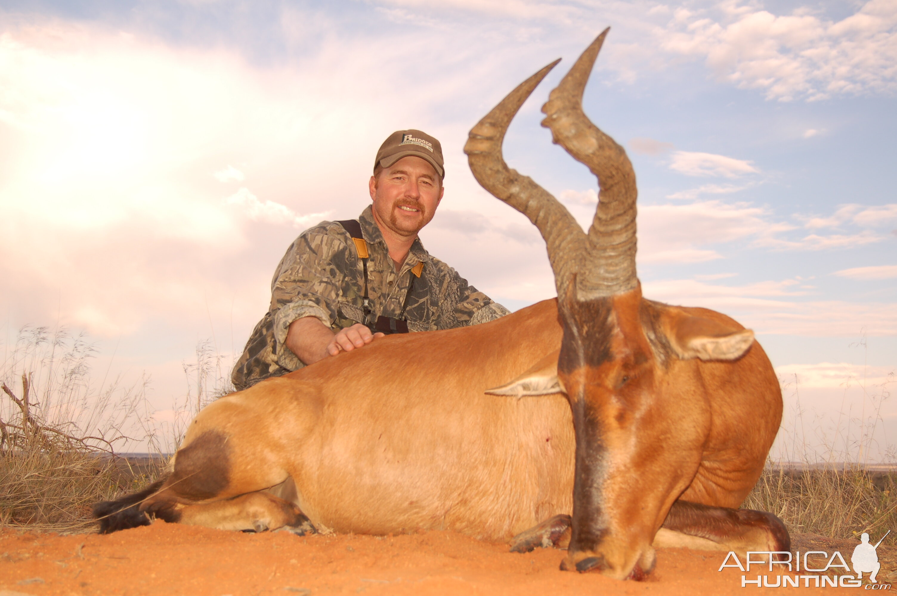 Hunting Red Hartebeest with Wintershoek Johnny Vivier Safaris in SA