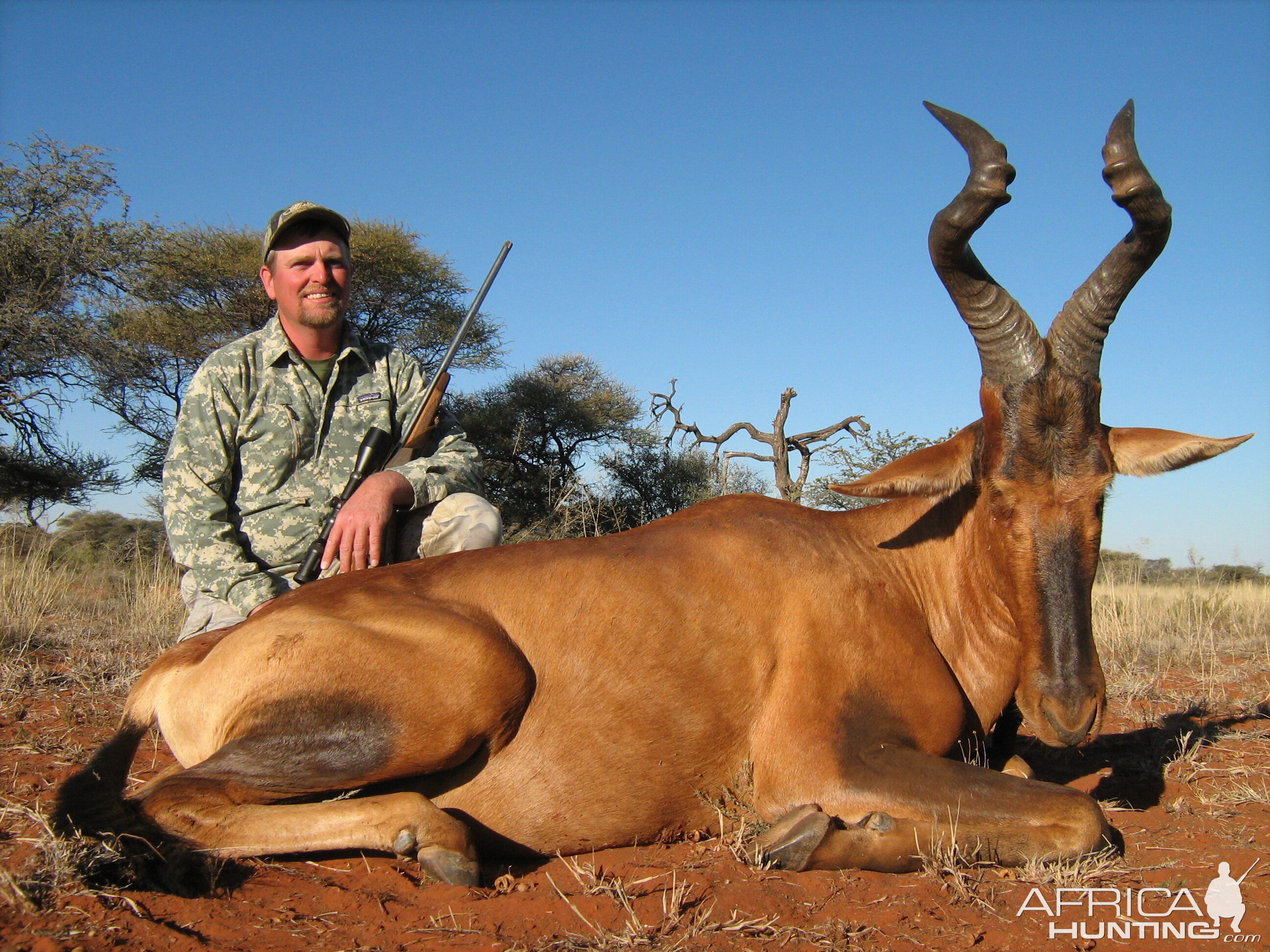 Hunting Red Hartebeest with Wintershoek Johnny Vivier Safaris in SA