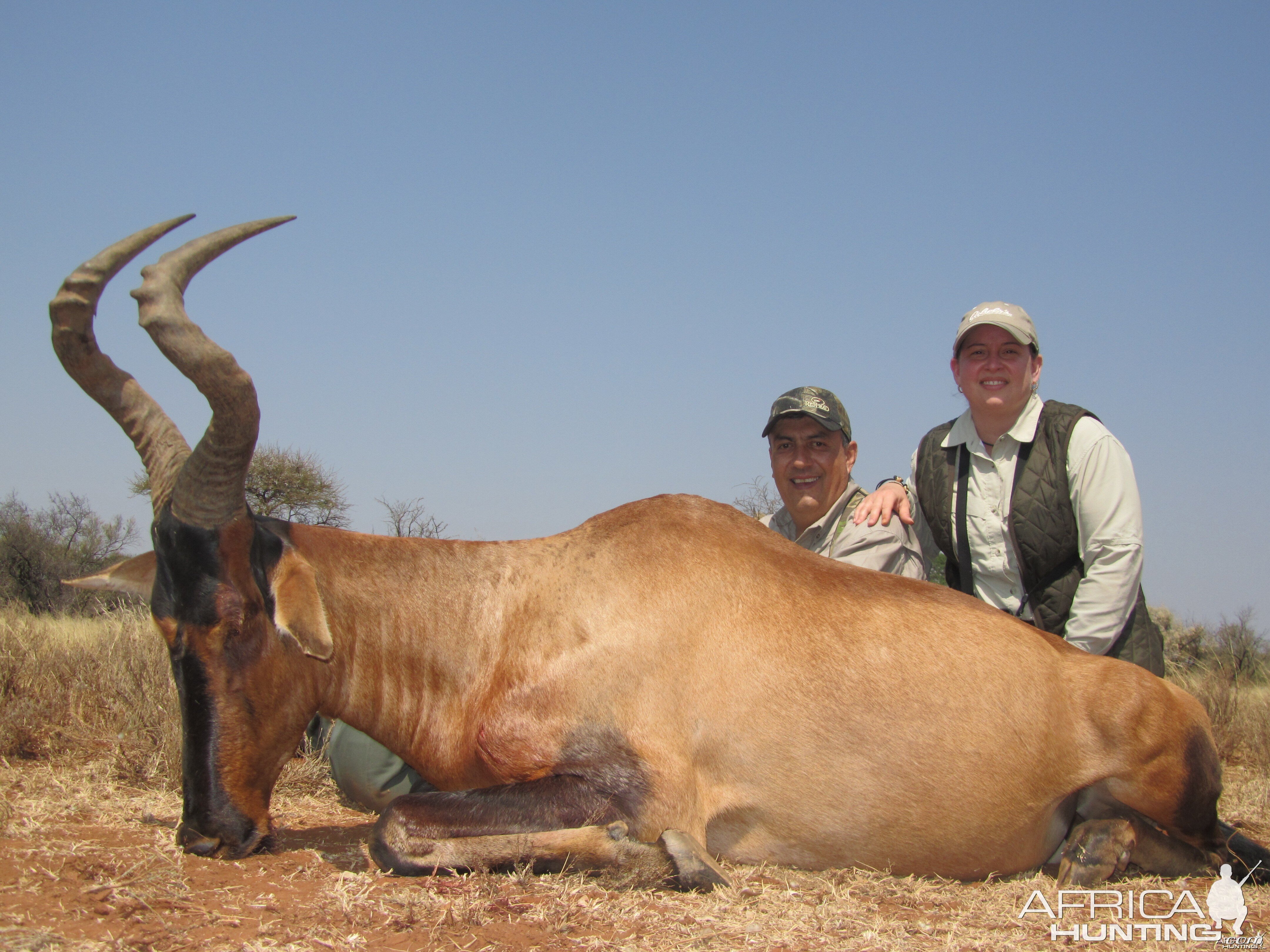 Hunting Red Hartebeest with Wintershoek Johnny Vivier Safaris in SA