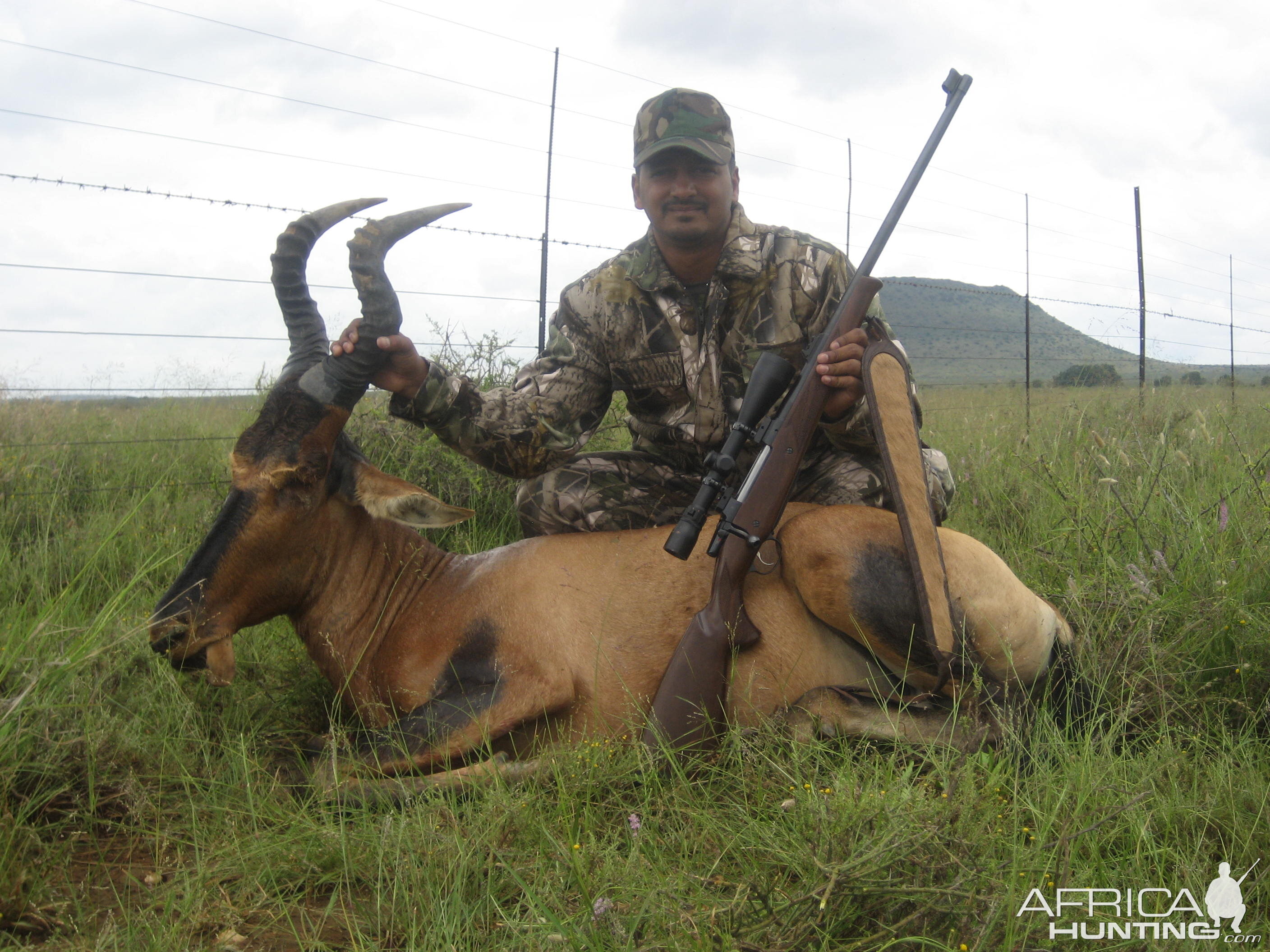 Hunting Red Hartebeest