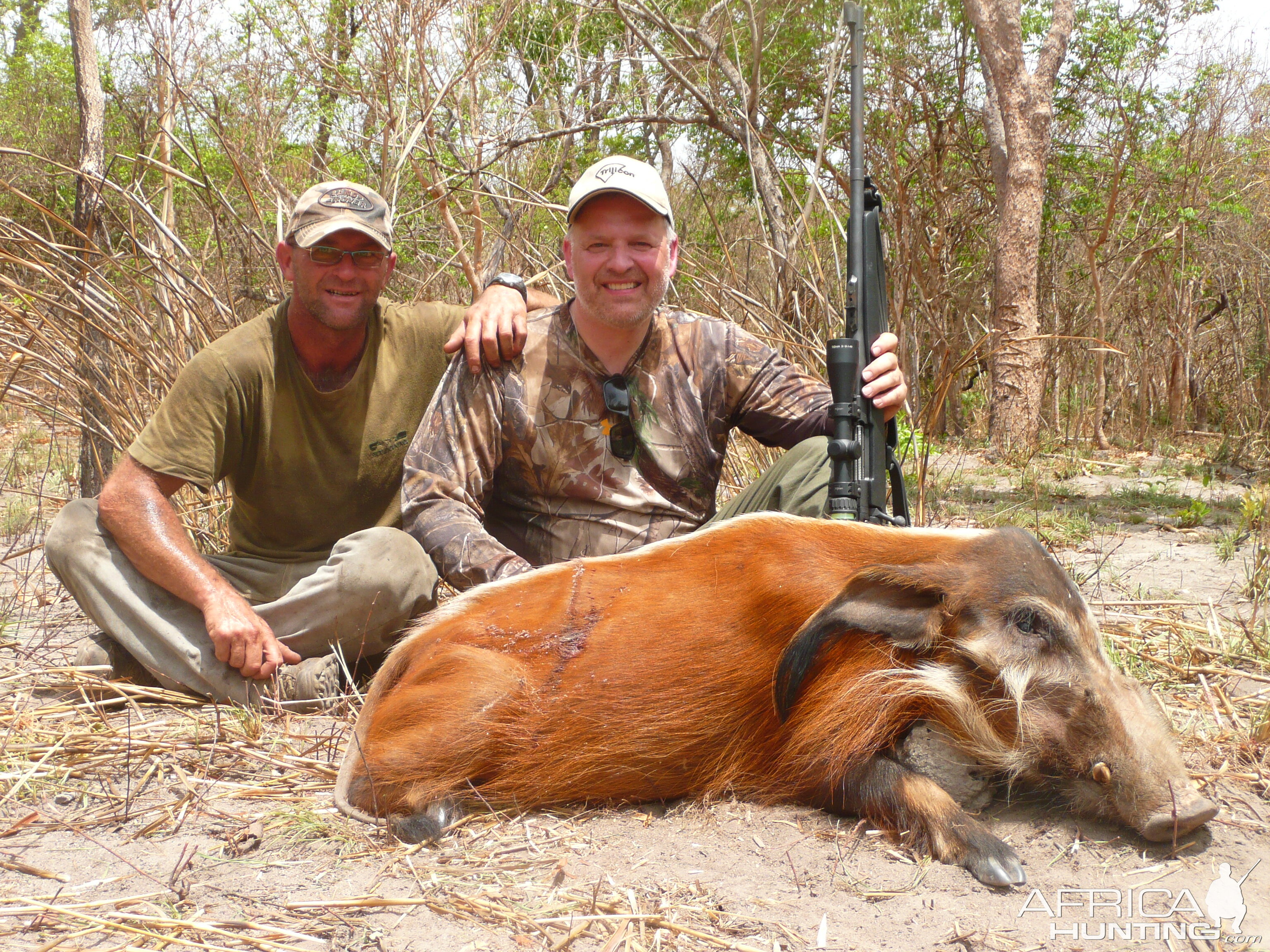 Hunting Red river Hog in CAR