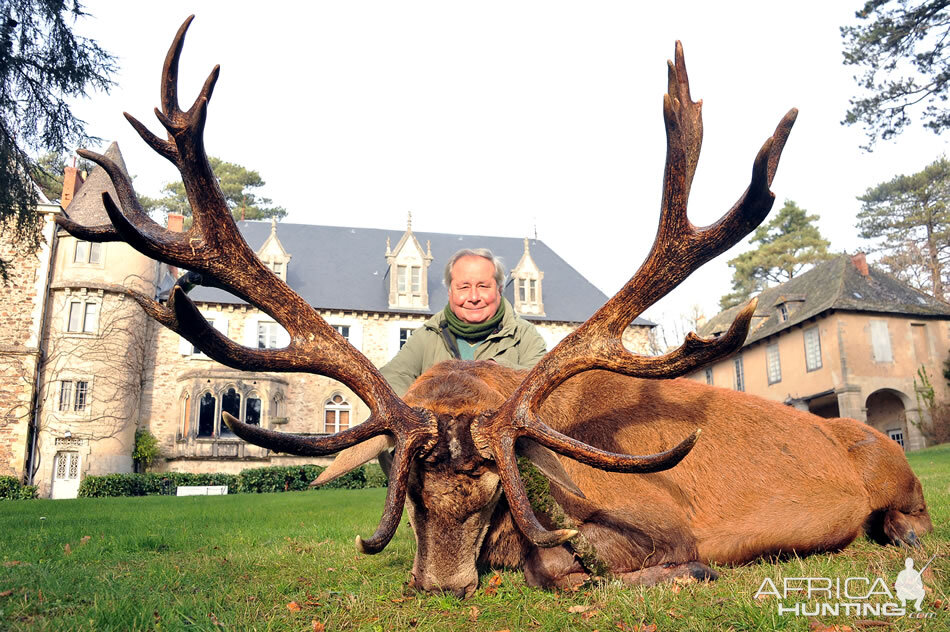 Hunting Red Stag France