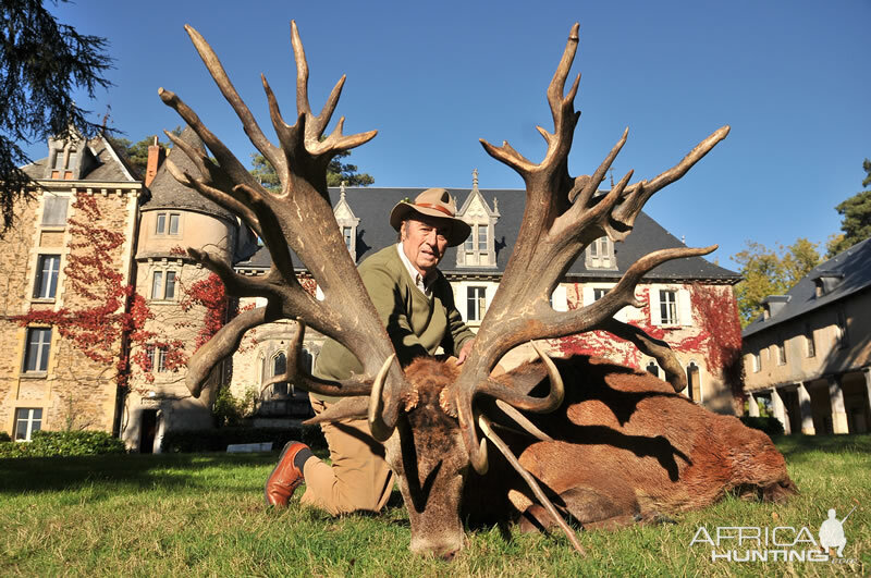 Hunting Red Stag France