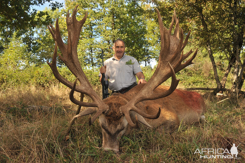 Hunting Red Stag France