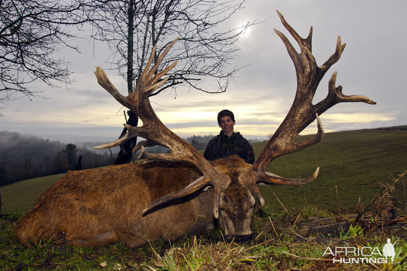 Hunting Red Stag France