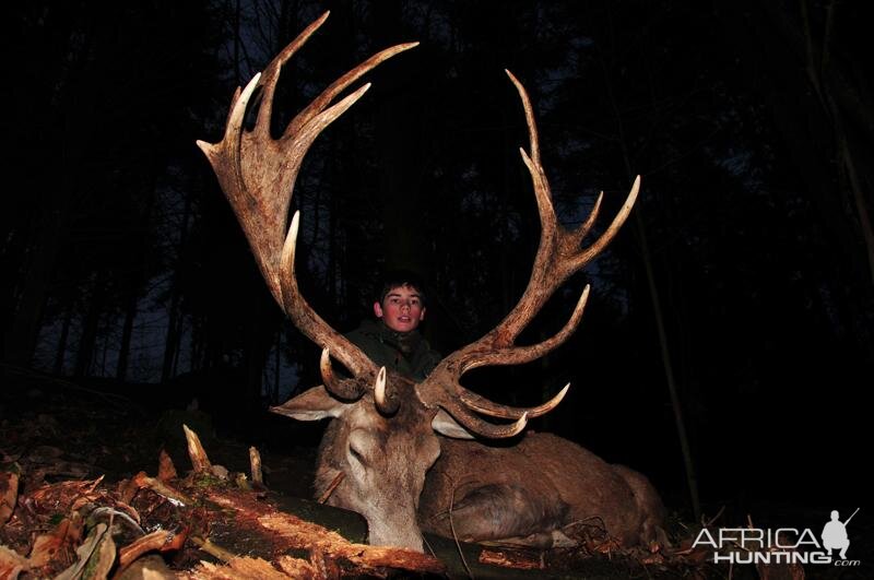 Hunting Red Stag France