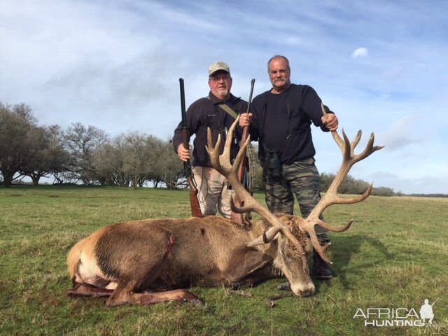 Hunting Red Stag in Argentina