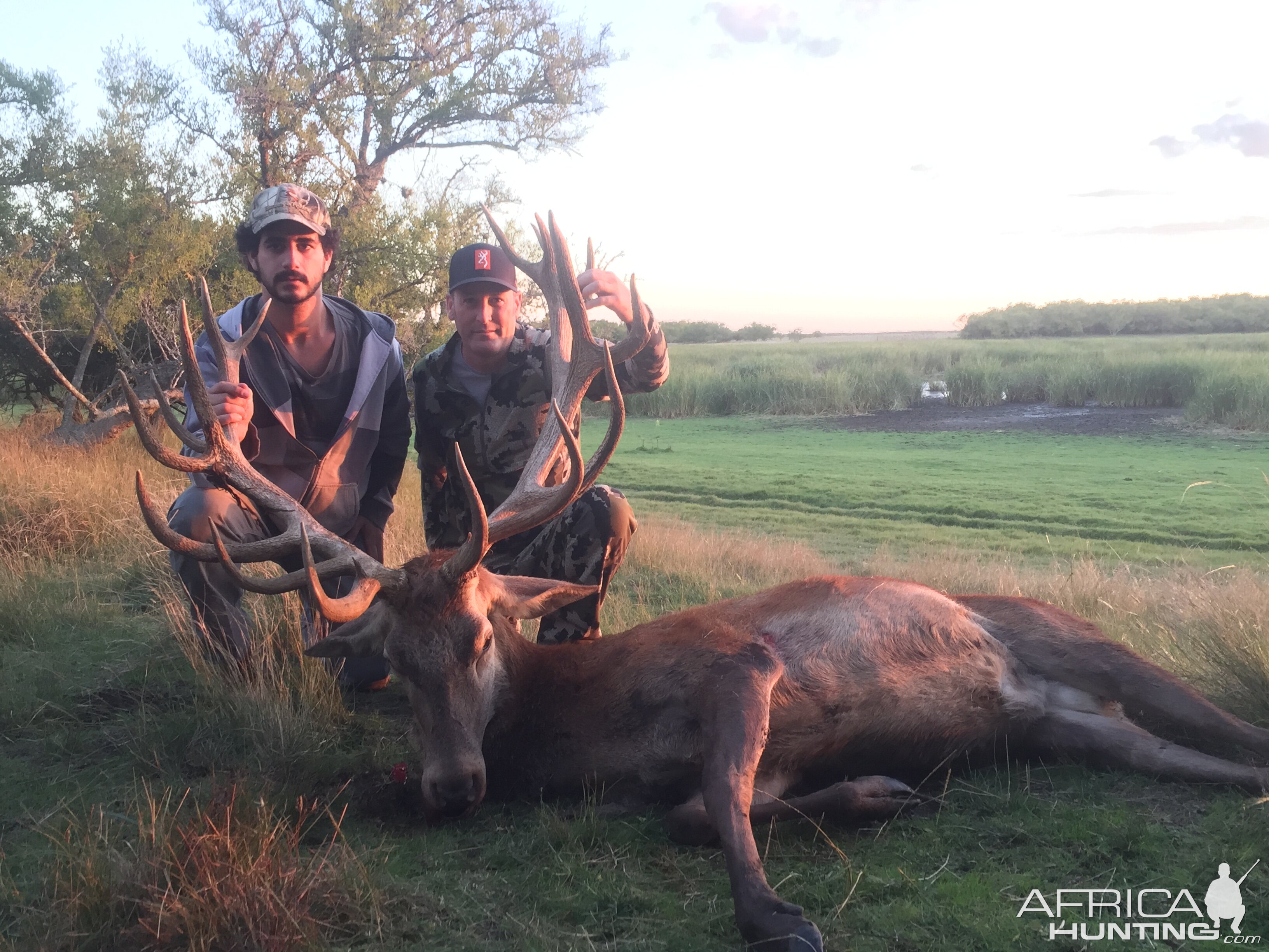 Hunting Red Stag in Argentina