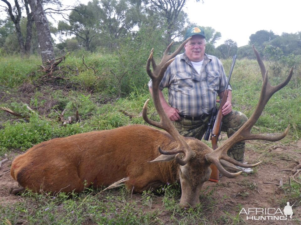 Hunting Red Stag in Argentina