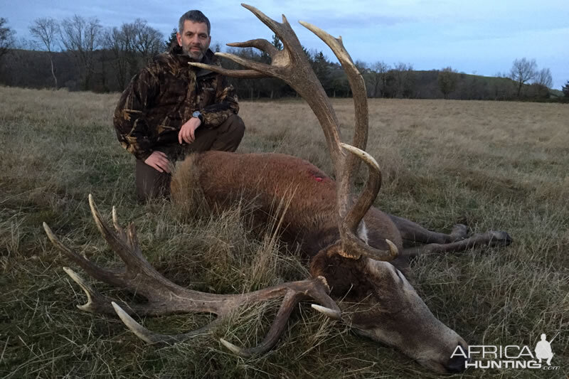 Hunting Red Stag in France