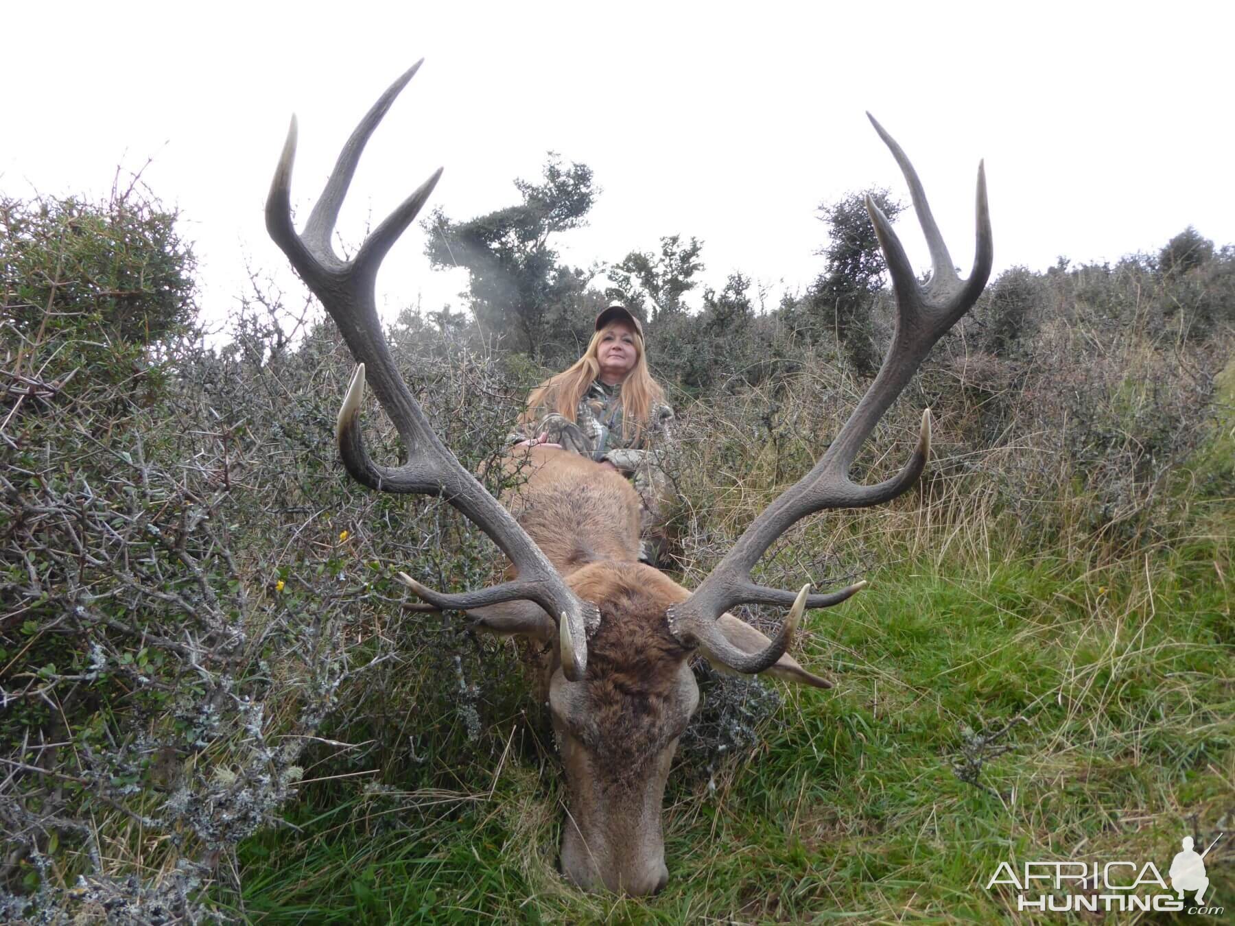 Hunting Red Stag in New Zealand