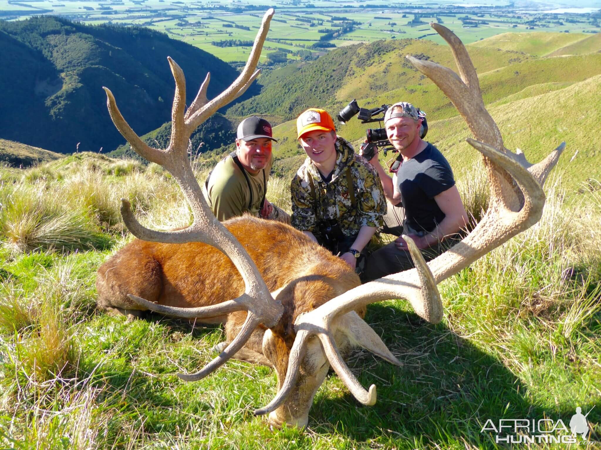 Hunting Red Stag in New Zealand