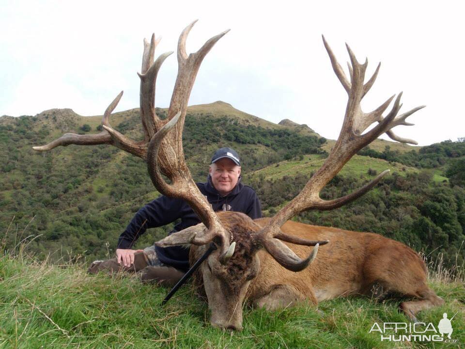 Hunting Red Stag in New Zealand