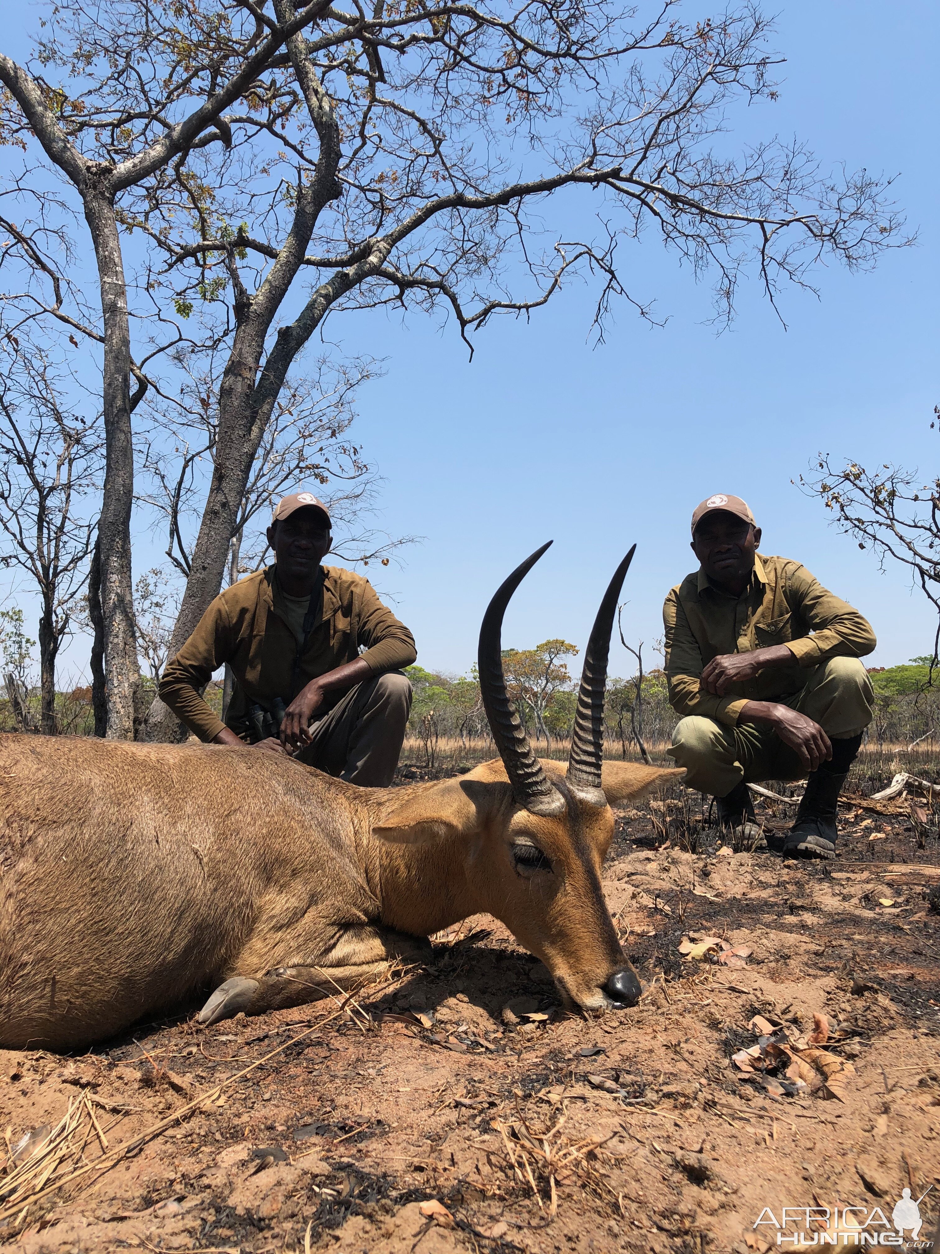 Hunting Reedbuck in Tanzania