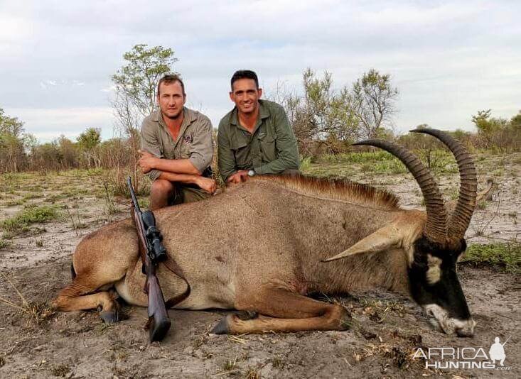 Hunting Roan in Namibia