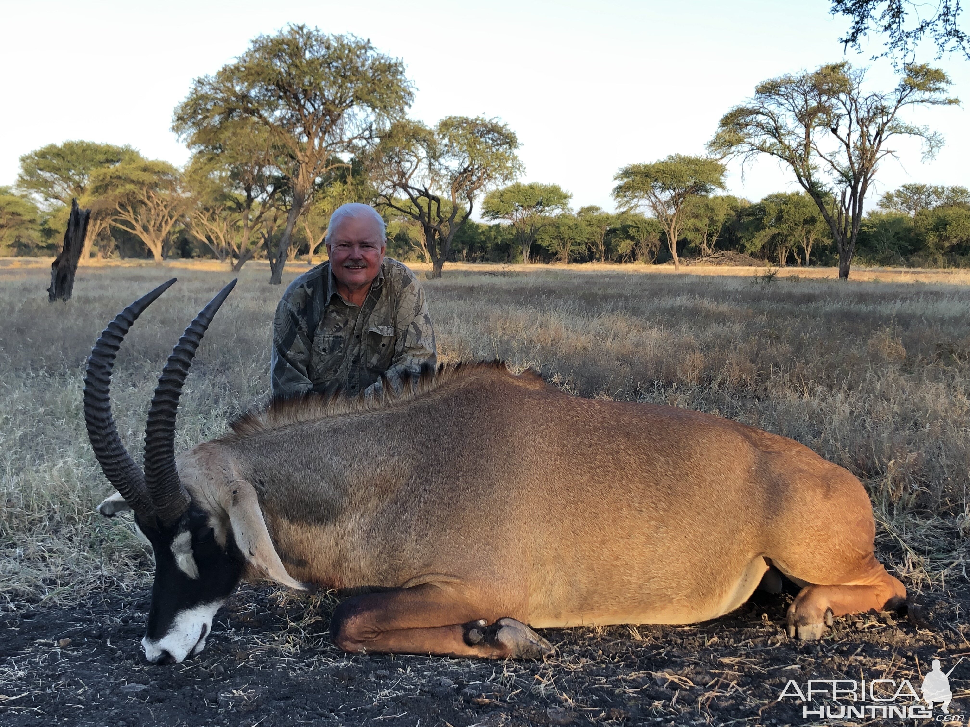 Hunting Roan In South Africa