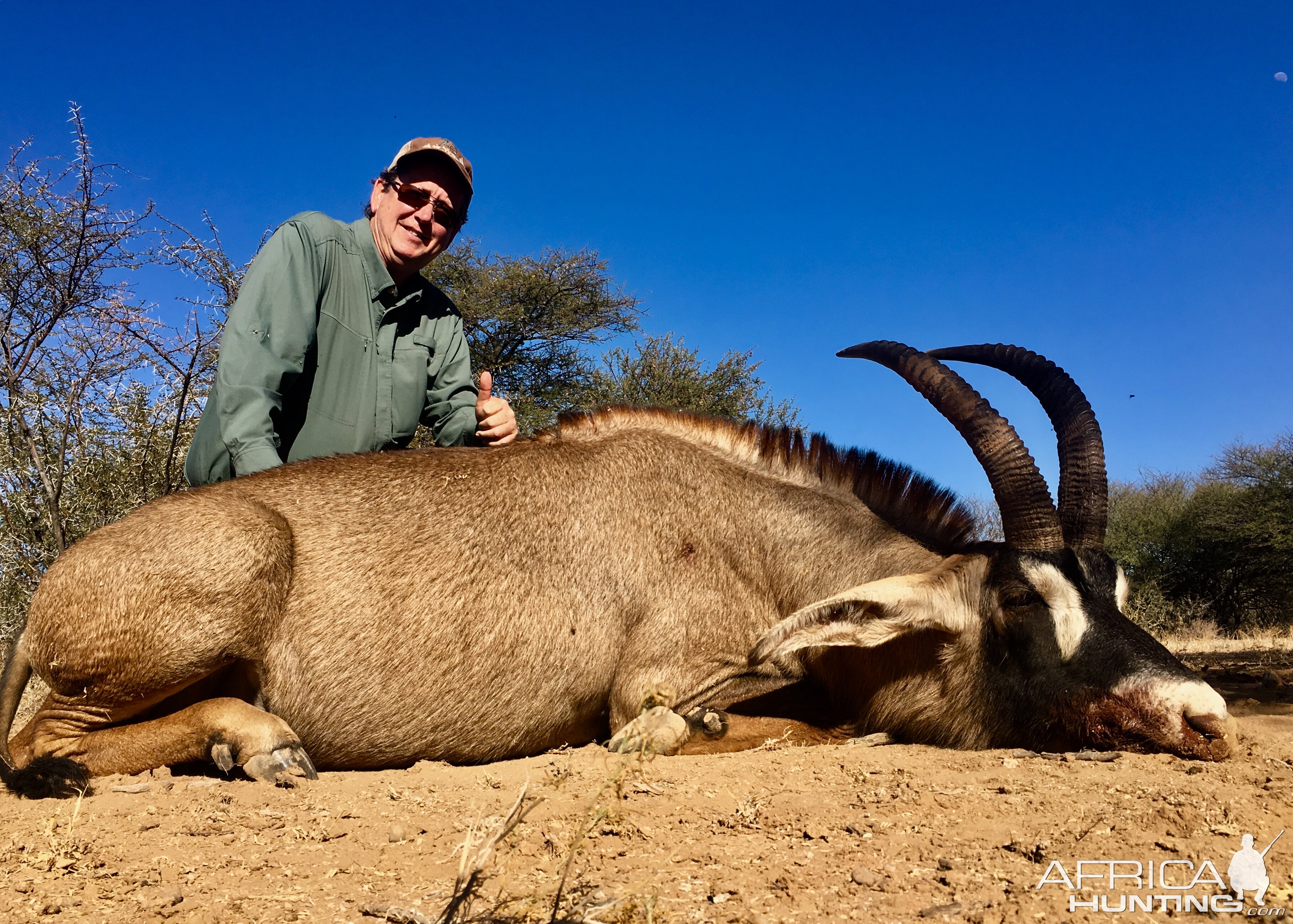 Hunting Roan in South Africa