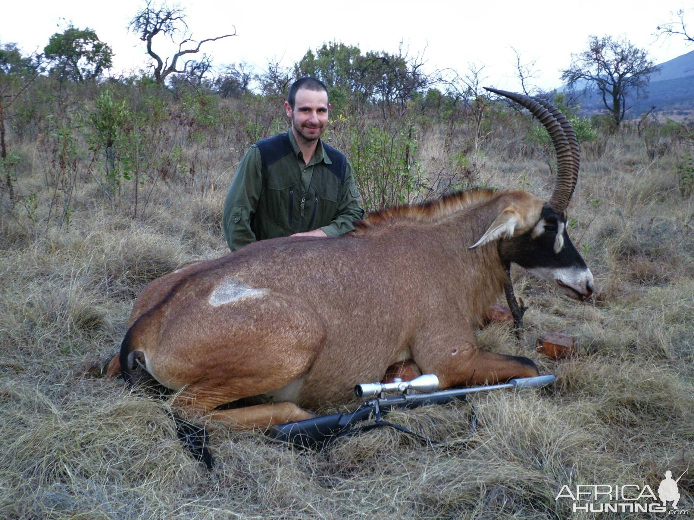 Hunting Roan South Africa