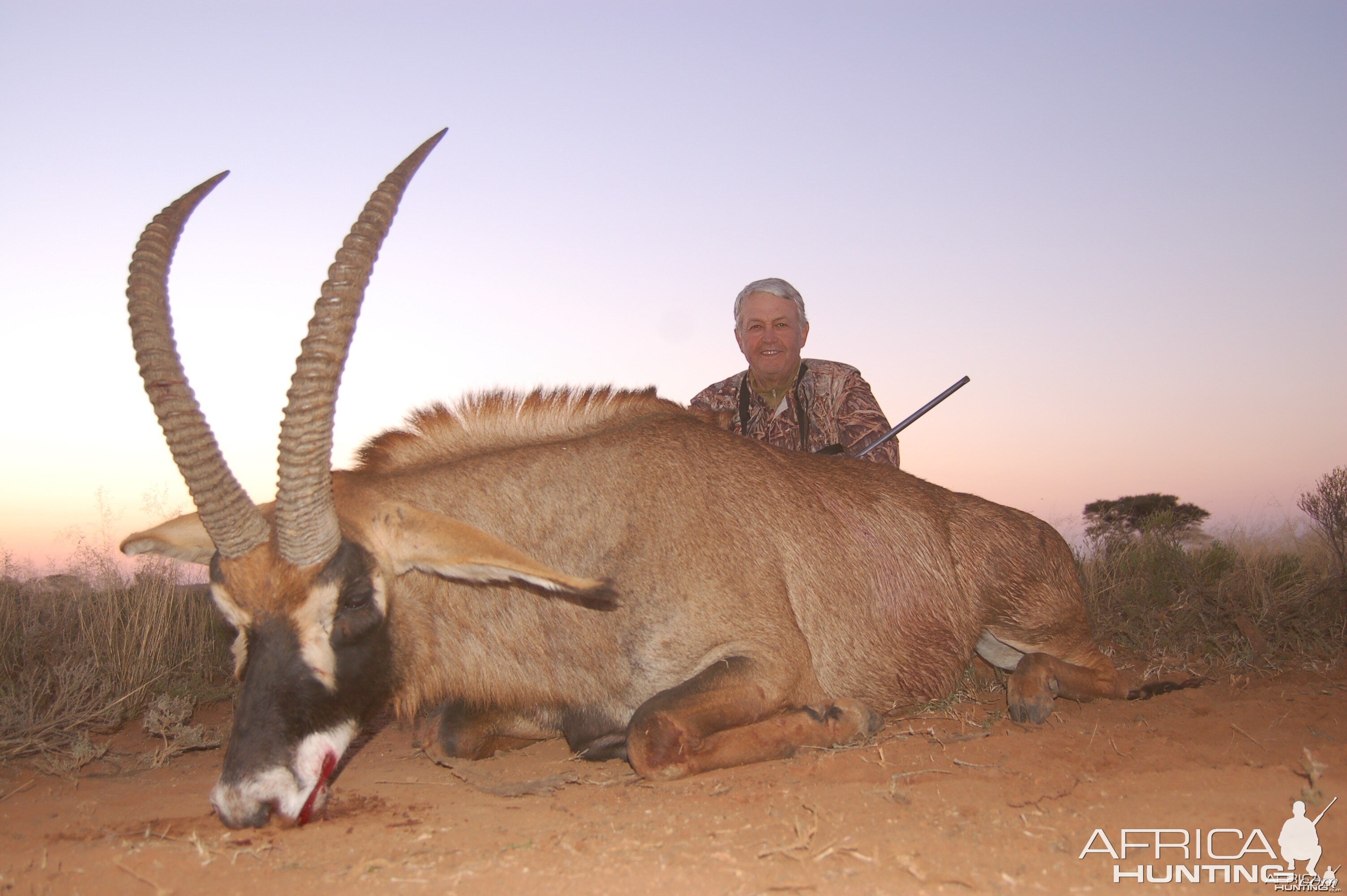 Hunting Roan with Wintershoek Johnny Vivier Safaris in SA