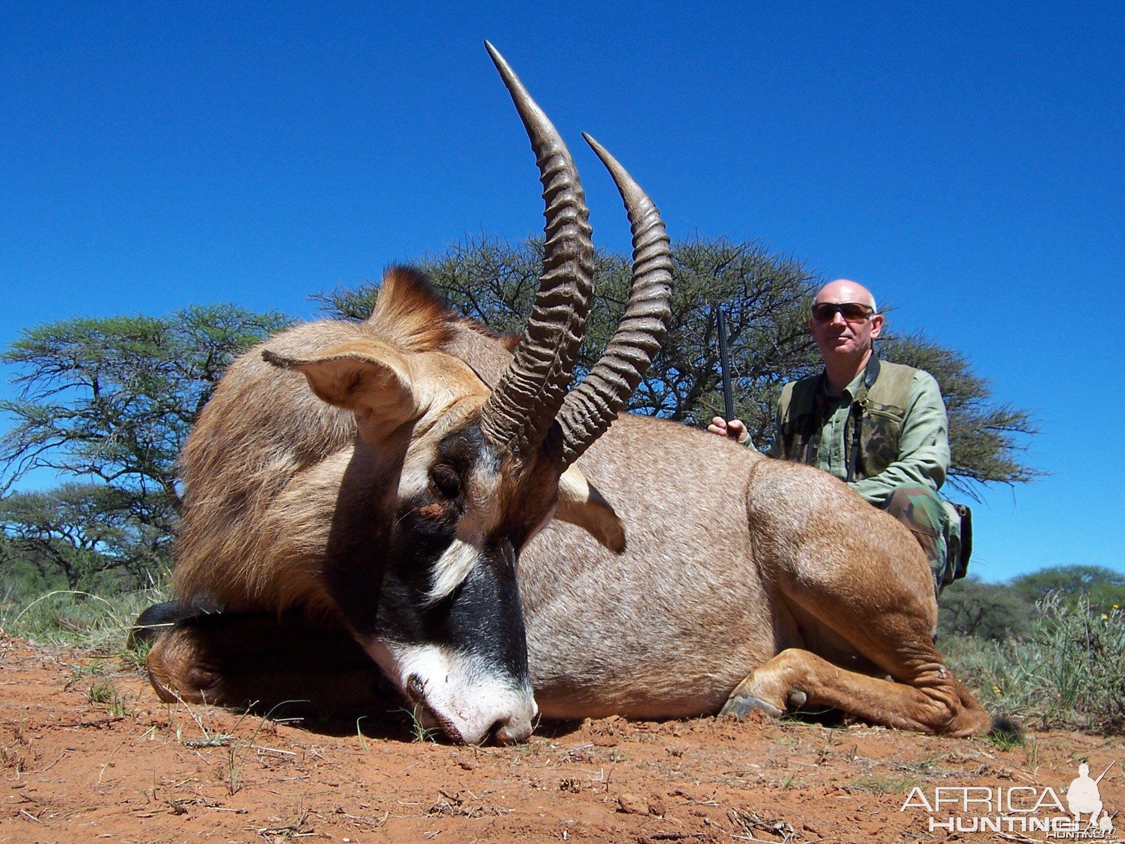 Hunting Roan with Wintershoek Johnny Vivier Safaris in SA