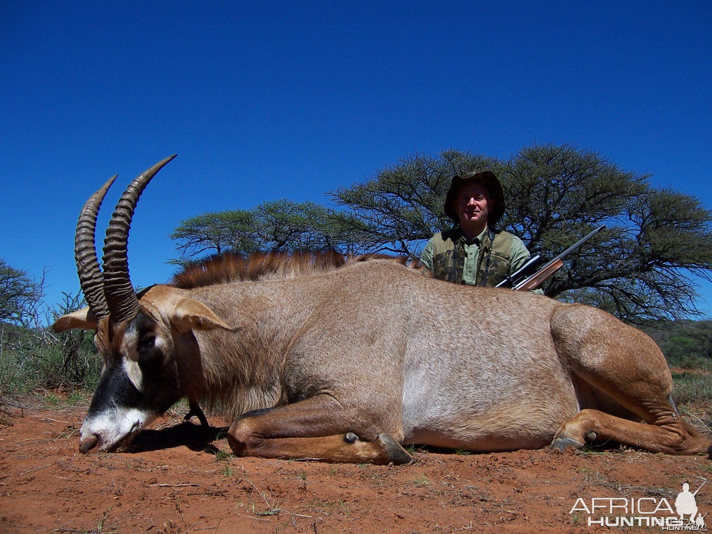 Hunting Roan with Wintershoek Johnny Vivier Safaris in SA