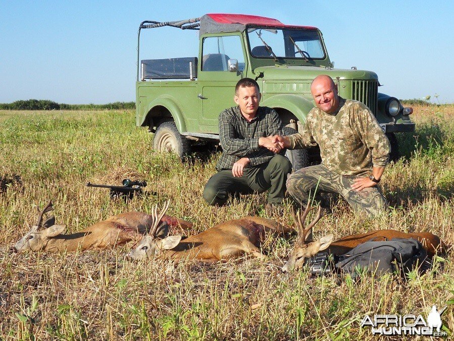 Hunting Roe Deer in Romania