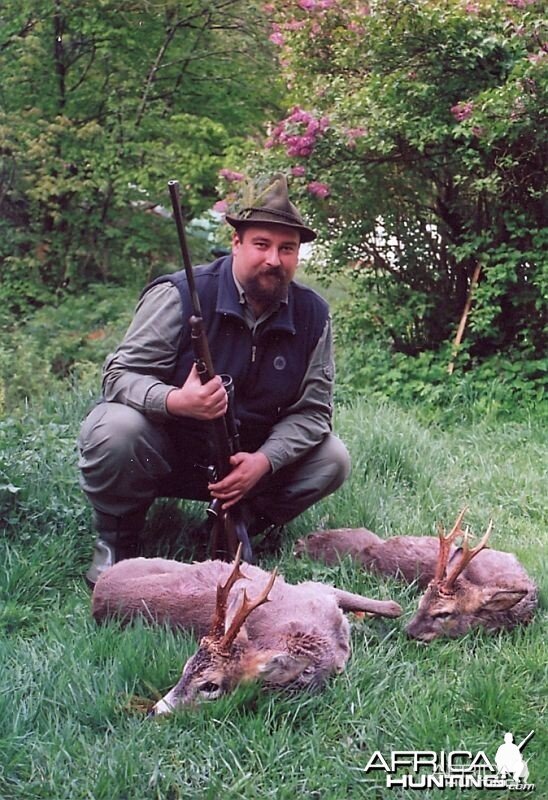 Hunting Roe Deer Slovenia