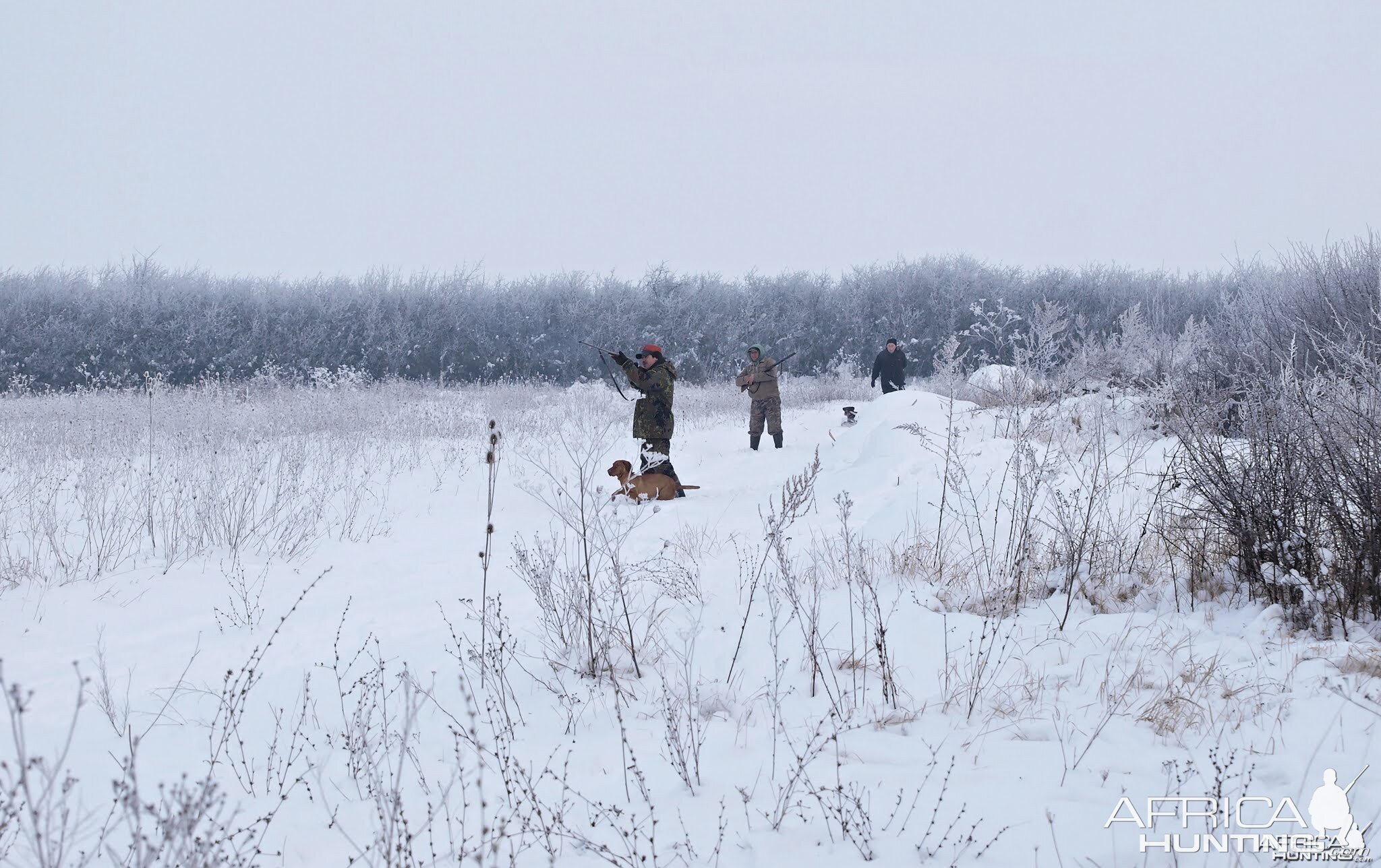 Hunting Romania