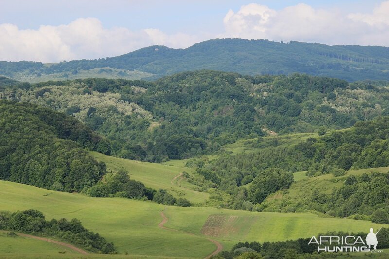 Hunting Romania