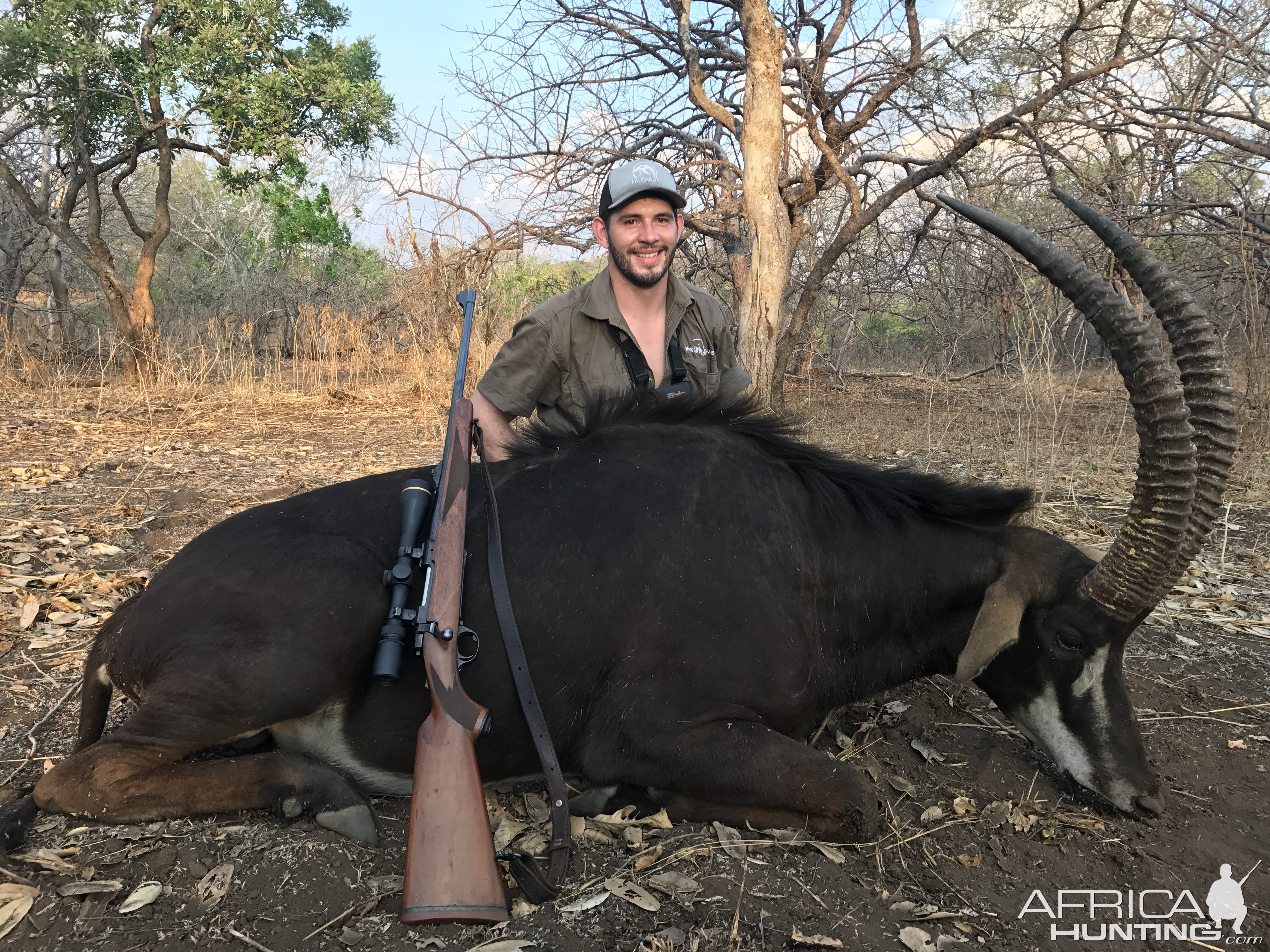 Hunting Sable Antelope in Mozambique