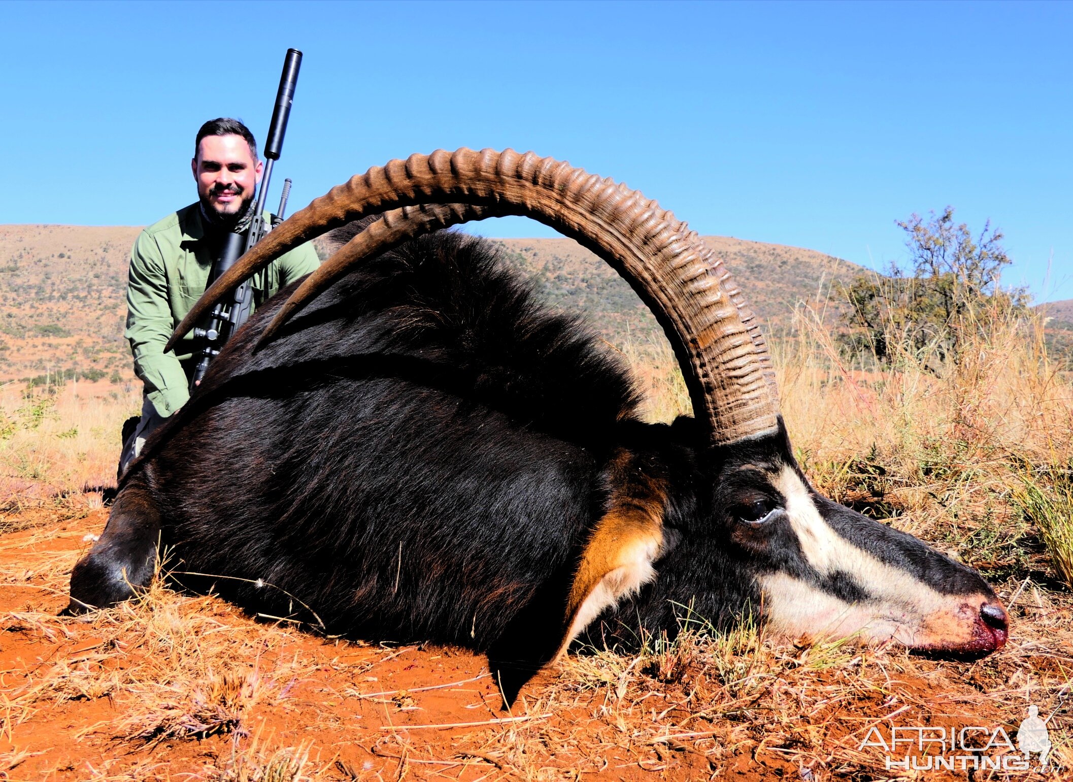 Hunting Sable Antelope in South Africa