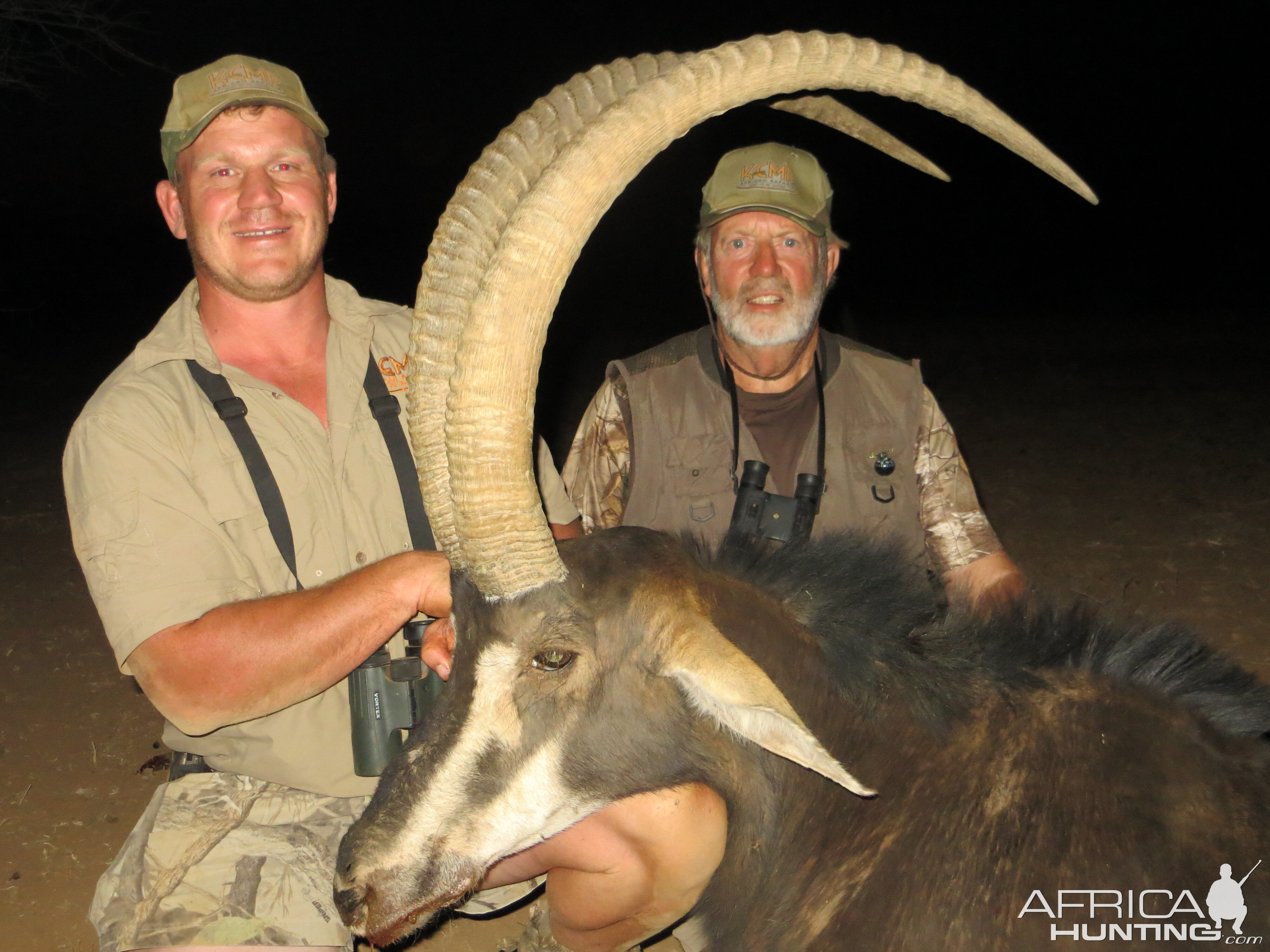 Hunting Sable Antelope in South Africa