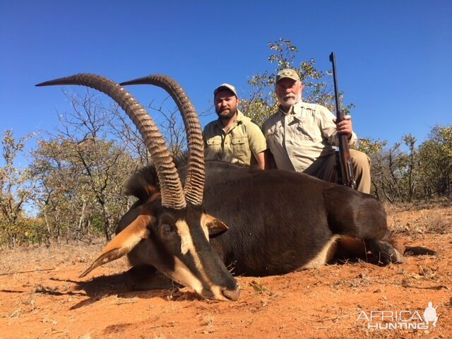 Hunting Sable Antelope in South Africa