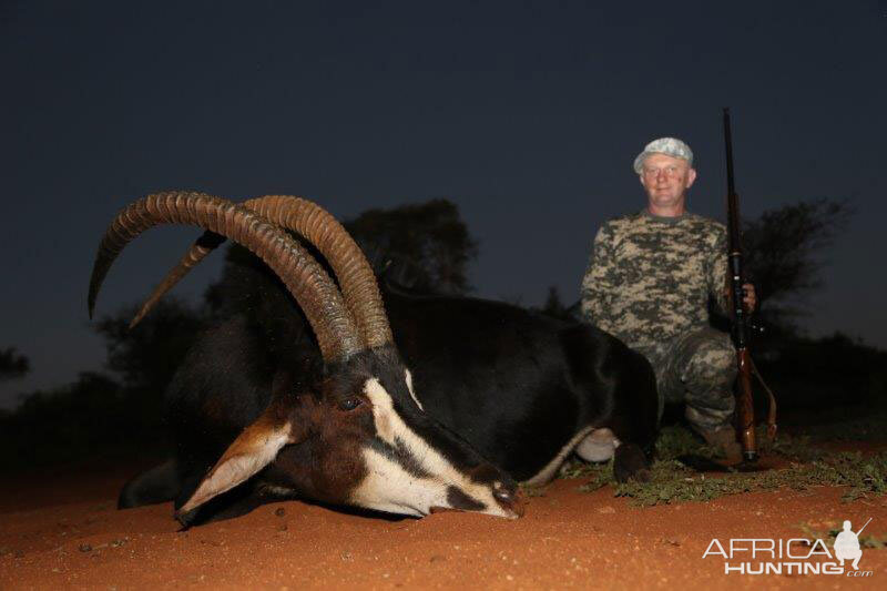 Hunting Sable Antelope in South Africa