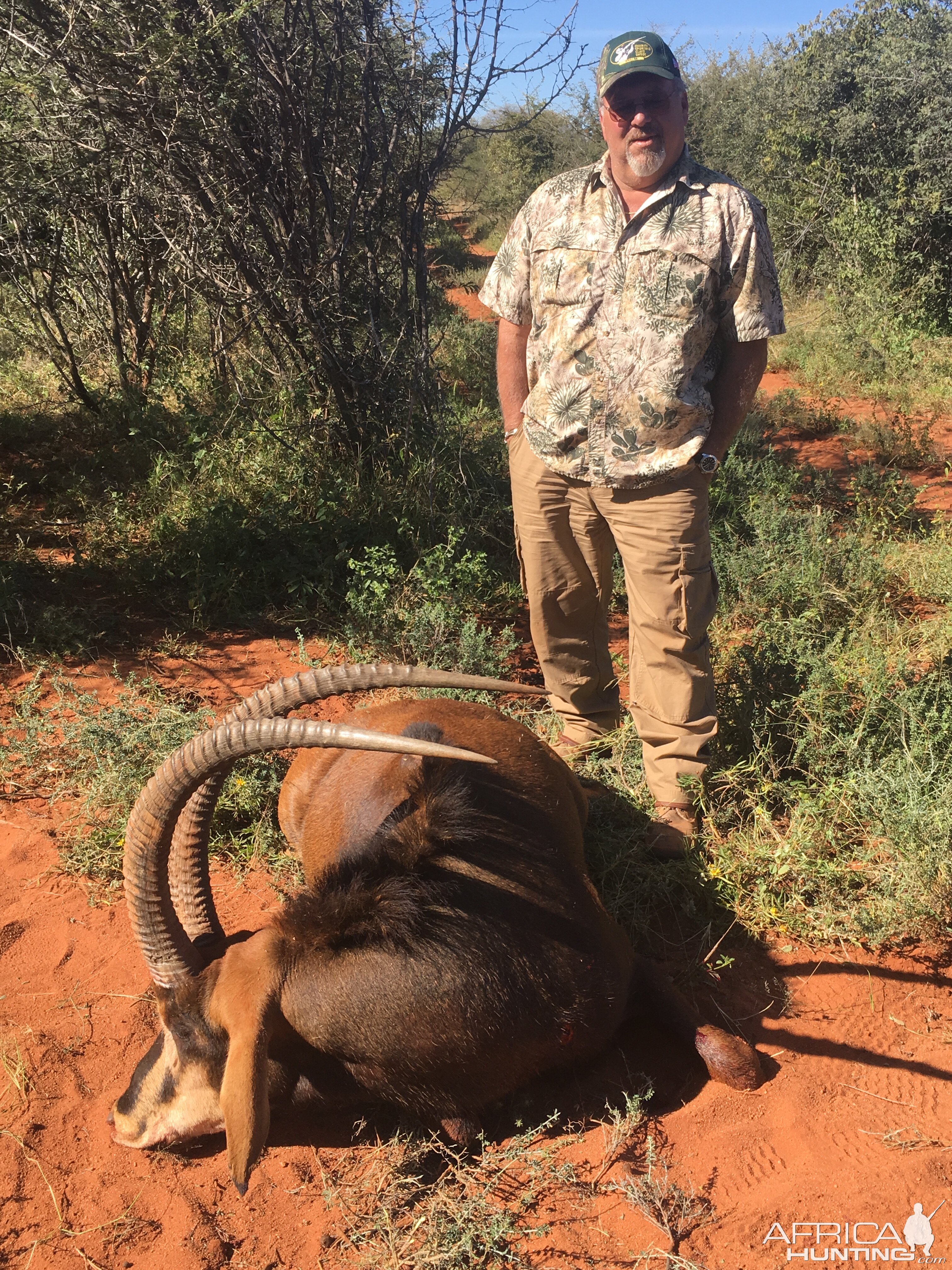 Hunting Sable Antelope in South Africa