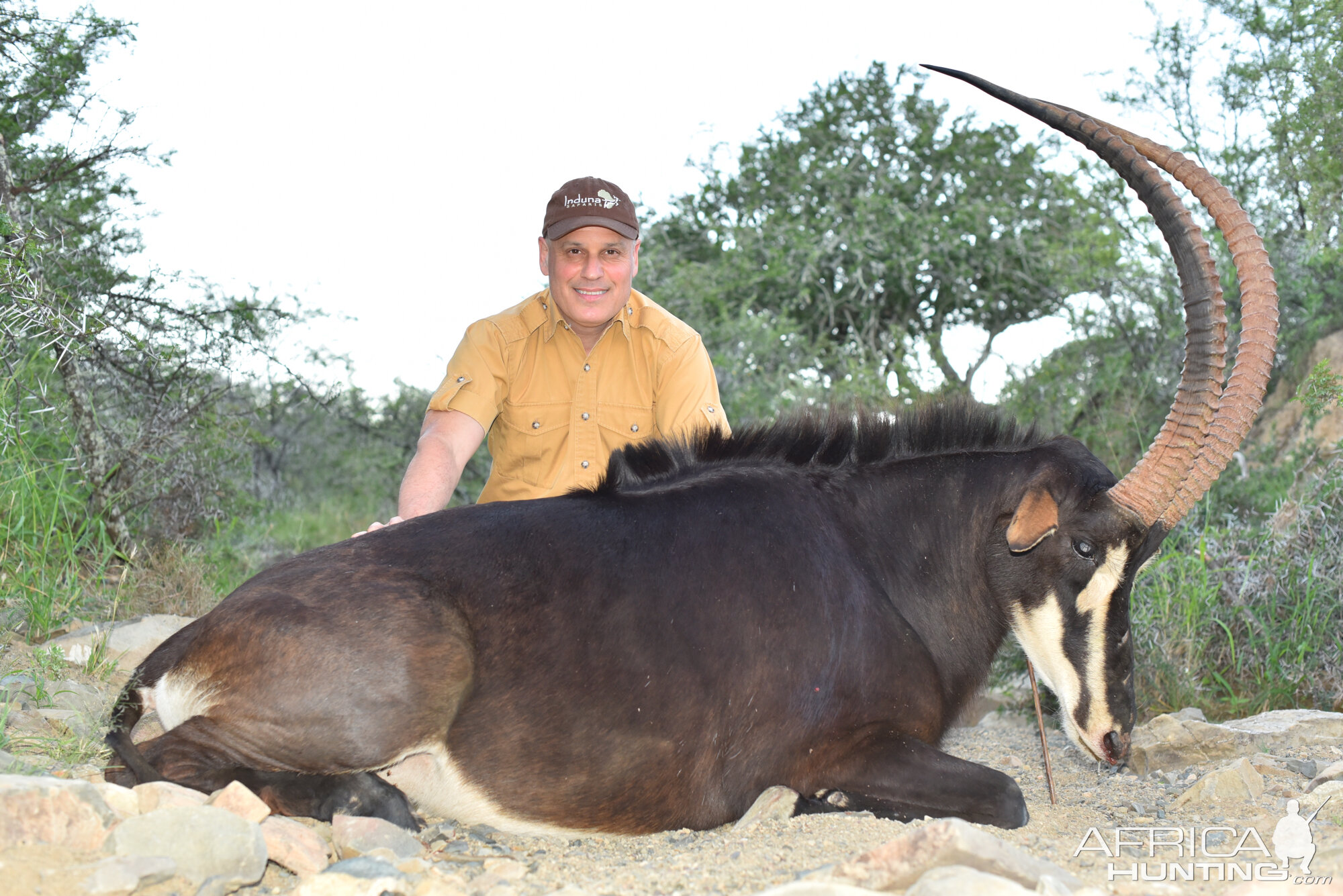 Hunting Sable Antelope in South Africa