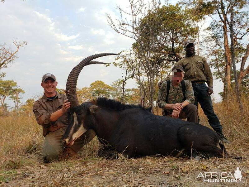 Hunting Sable Antelope in Tanzania